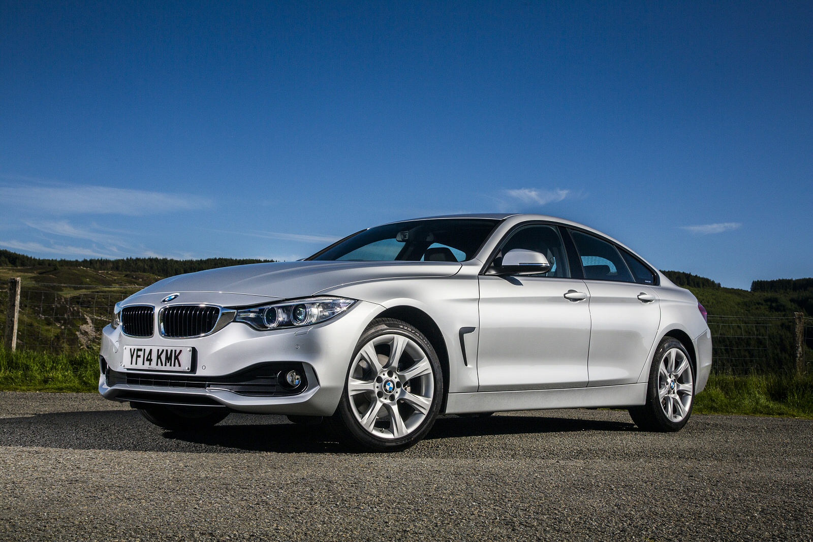 Used BMW 4 Series Gran Coupe [F36] (2014 - 2020) + Guide - Image 1